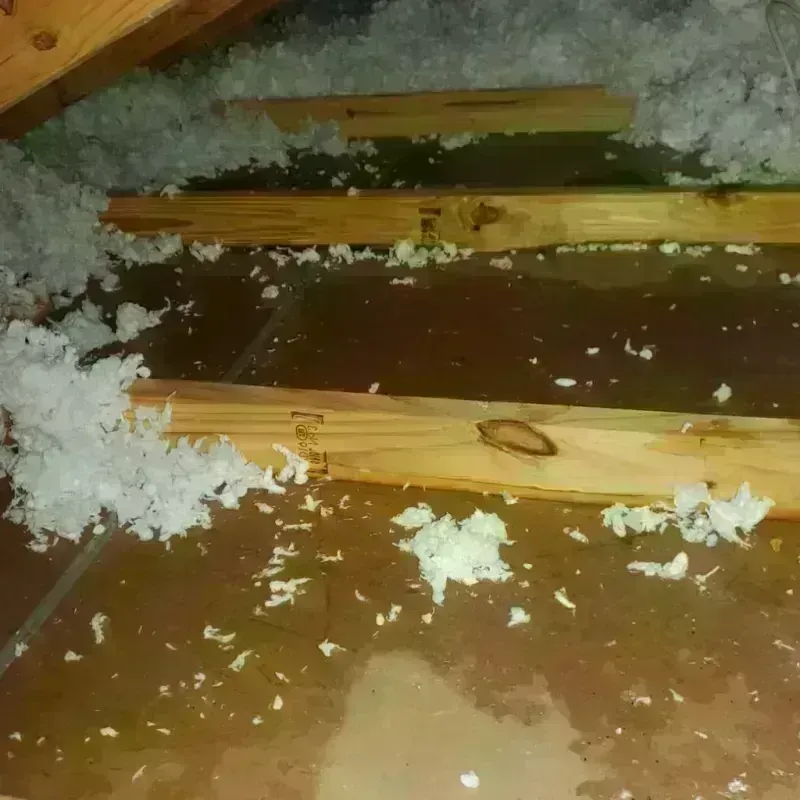 Attic Water Damage in East Douglas, MA