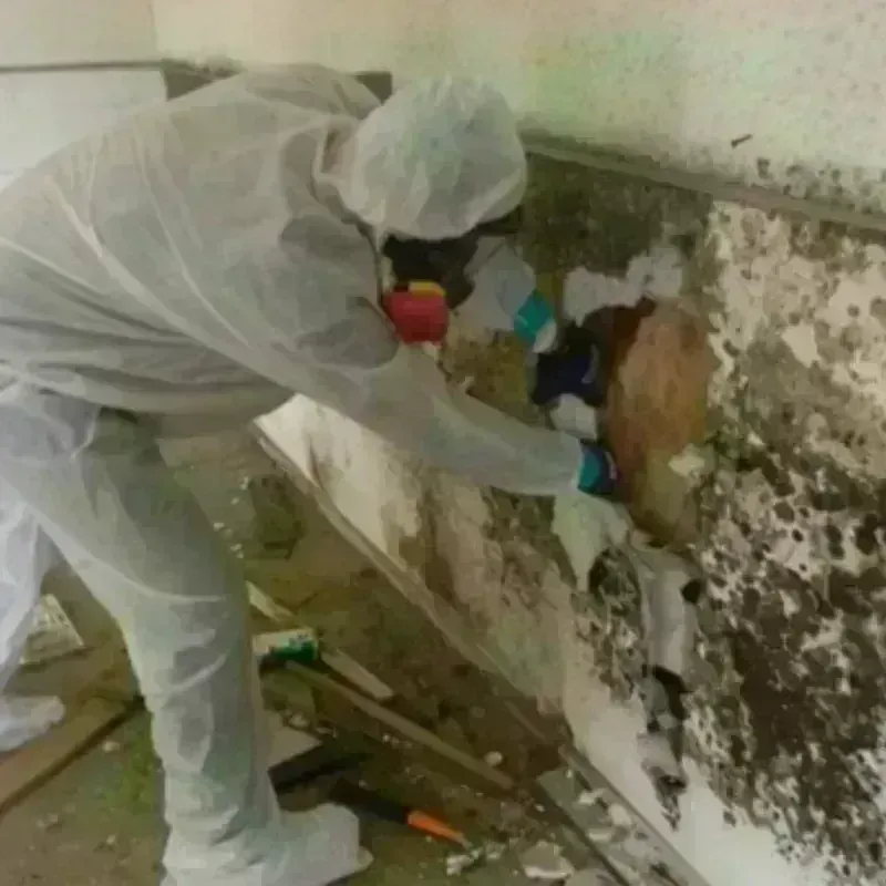 Mold Remediation and Removal in East Douglas, MA